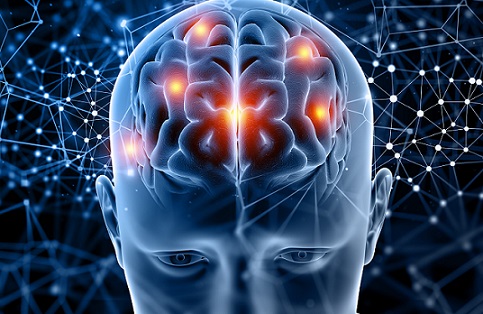 Beynin Temizlik Dengesi Bozulursa Öğrenme de Etkileniyor