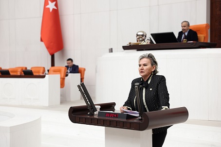 İstanbul Mv. Nimet Özdemir “CHP Millet iradesiyle kurulmuş tek partidir”