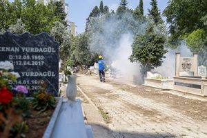 Antalya’da Vektörle mücadele hız kesmiyor