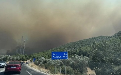 Cahit Can Tekin: Seydikemer ve Kaş’taki Yangın Hepimizin Ortak Kaygısıdır