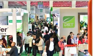 Growtech Antalya’da Tıbbi Kenevir İçin Özel Alan